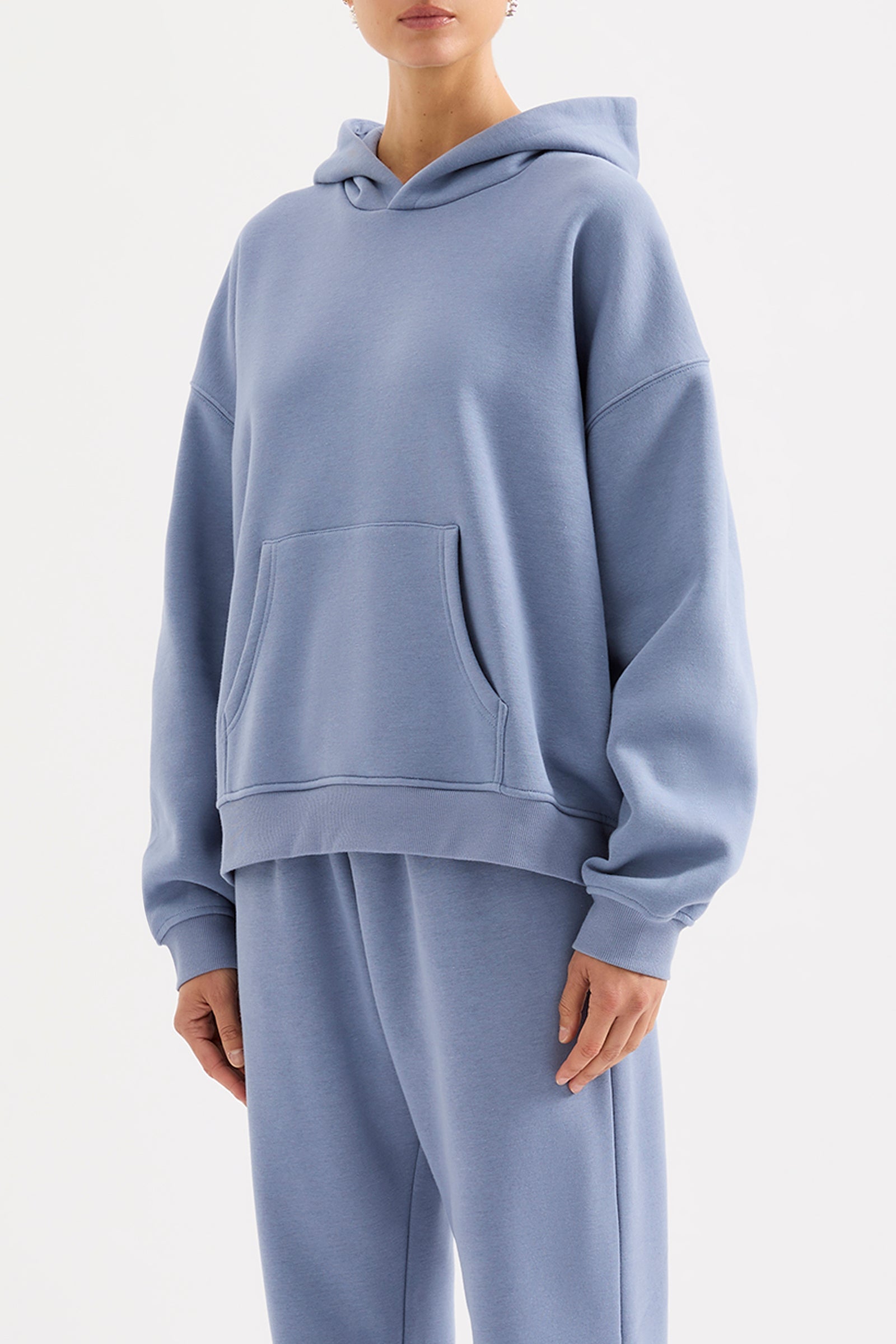 Carter Curated Hoodie Mist 