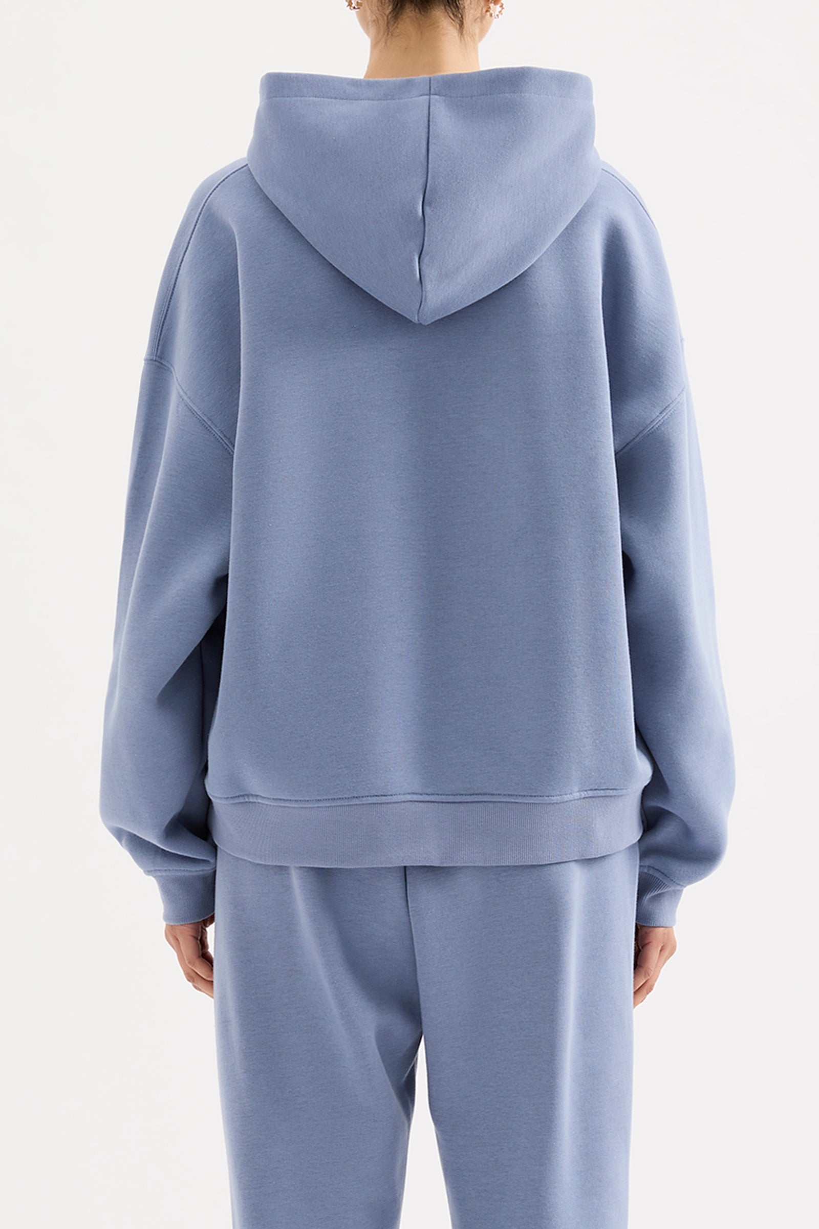 Carter Curated Hoodie Mist 