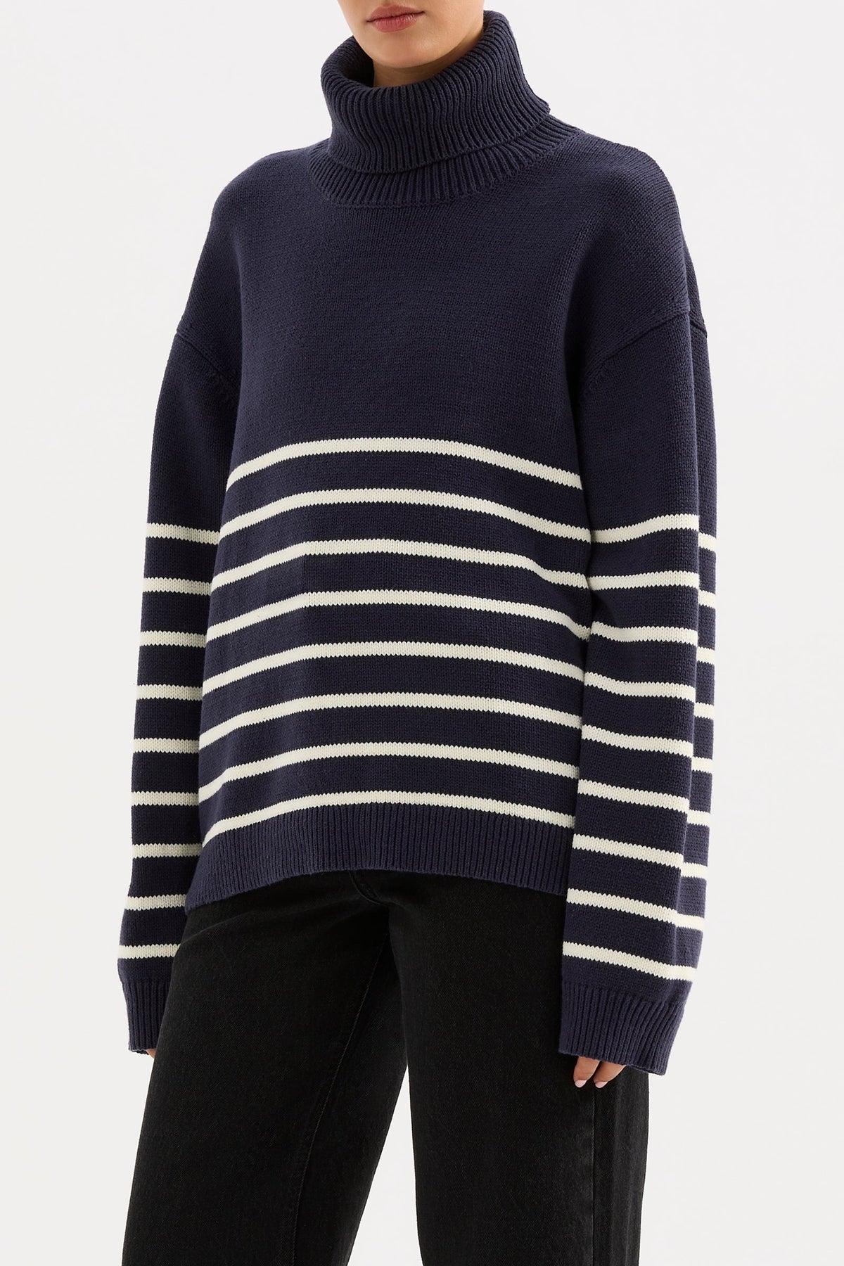 Venus Turtleneck Knit Navy Stripe 